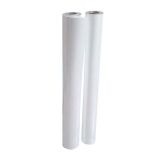 50" (1.27m) Glossy Photo Paper (220)