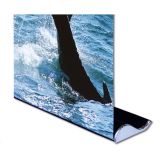 33" W x 79" H Whale Shape Good Quality Roll Up Banner Stand (Stand Only)