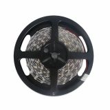 RGB Color Flexible LED Light Strip(60 SMD 5050 leds per meter nonwaterproof) 5m/roll