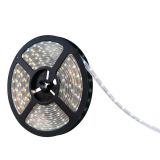 5M Waterproof IP68 300 LED Strip Light 3528 SMD String Ribbon Tape Roll 12VDC