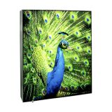 24" x 36" Framless External Light Fabric Display Light Box(Single Sided)