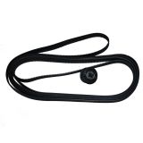 Original Carriage Belt for HP DesignJet 500 / 800 - C7769-60182