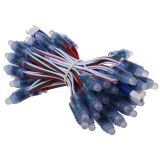 12mm WS2811 DC5V Waterproof IP65 RGB Full Color LED Pixel Digital Diffused LED Module String