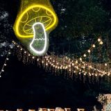 CALCA LED Neon Sign MUSHROOM Sign USB 5VDC Size- 10.4X8.8inches(Yellow+White)
