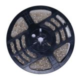 16.4FT Non-Waterproof Flexible LED Strip side light Type 5M SMD 600 LEDS White 12VDC