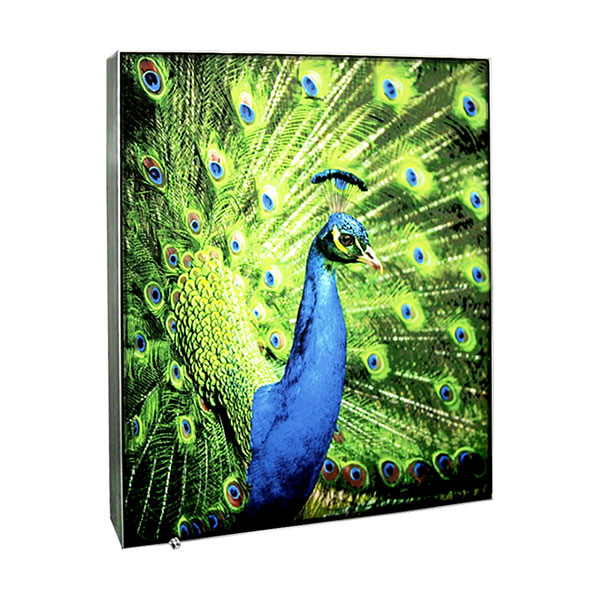 18" x 24" Framless External Light Fabric Display Light Box(Single Sided)