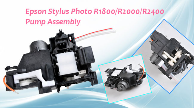 Epson Printer Paper Roll Assembly Shipped With Stylus Photo R1800, R1900,  R2000 